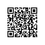 DW-09-17-T-S-250 QRCode