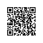 DW-11-19-G-S-938 QRCode