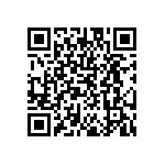 DW-12-09-T-S-380 QRCode