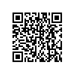 DW-12-11-G-S-312 QRCode