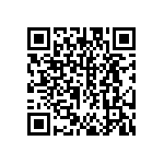 DW-12-13-F-S-935 QRCode