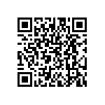 DW-13-09-T-D-290 QRCode