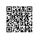 DW-13-09-T-S-315 QRCode