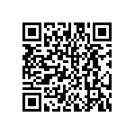 DW-13-12-T-D-787 QRCode