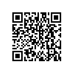 DW-13-13-F-S-945 QRCode