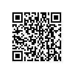 DW-13-15-G-D-295 QRCode