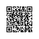 DW-20-13-T-S-875 QRCode