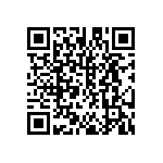 DW-33-13-F-S-895 QRCode