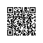 DW-33-13-F-S-945 QRCode