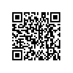 DW-39-13-F-S-965 QRCode