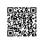 DW-41-13-F-S-935 QRCode