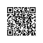 DW-41-13-F-S-955 QRCode