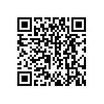 DW-44-13-F-S-935 QRCode