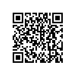 DW-44-13-F-S-945 QRCode