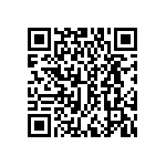 DWM-02-53-G-S-303 QRCode