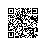 DWM-02-61-G-S-817 QRCode