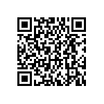 DWM-04-01-G-D-250 QRCode