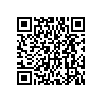 DWM-13-51-L-S-250 QRCode