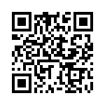 DZT2907A-13 QRCode