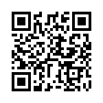 DZT491-13 QRCode