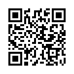 ELVT20500 QRCode