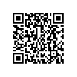 ESQT-125-02-H-S-309 QRCode