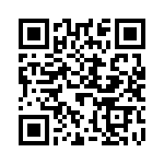 F0603E1R25FSTR QRCode