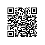 F339X133333KD02W0 QRCode