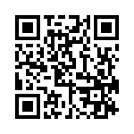 FCE17E09PC250 QRCode