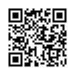 FJP13007 QRCode