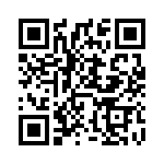 FV2-4 QRCode