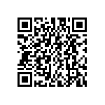 FW-13-04-G-D-315-243 QRCode