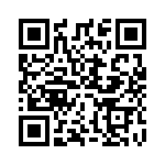 GT13MSABE QRCode