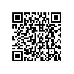 HDWM-12-01-G-S-300 QRCode