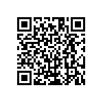 HE30807T1198PB7M QRCode