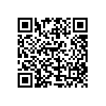 HE30807T1304PB6M QRCode