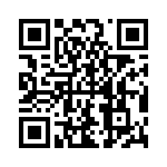 HKQ04022N0S-T QRCode