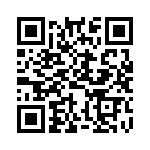 HKQ0603U2N9C-T QRCode