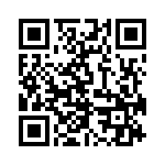 KE163350A000G QRCode