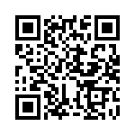 KJB6T13F35HE QRCode