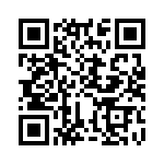 KJB6T13J35PC QRCode