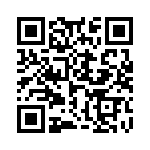 L-07C11NKV6T QRCode