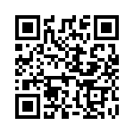 L17158706 QRCode