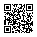 L17DM51155 QRCode