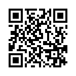 L17TF0901101 QRCode