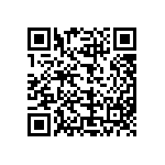 L2C3-3090105E06000 QRCode