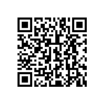 L2C5-30901205E1300 QRCode