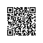 M55342E06B1B13RWS QRCode