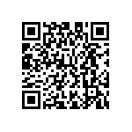 M55342E06B3B01RT3 QRCode