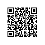 M55342H03B22K0RWS QRCode